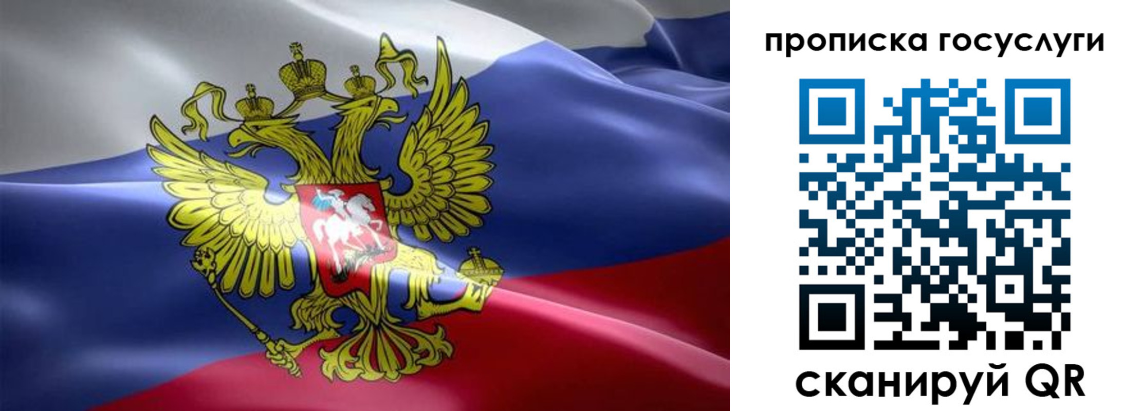 прописка законно в Жердевке